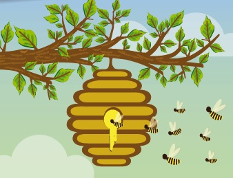 Where are the honeybees going?