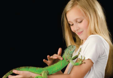 Tory's Pets