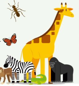 Animal Families