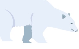 Polar Bears in the Arctic