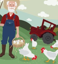 On the Farm