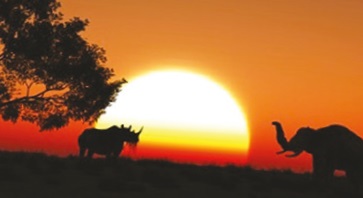 A Holiday in Africa