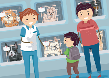 The Animal Shelter