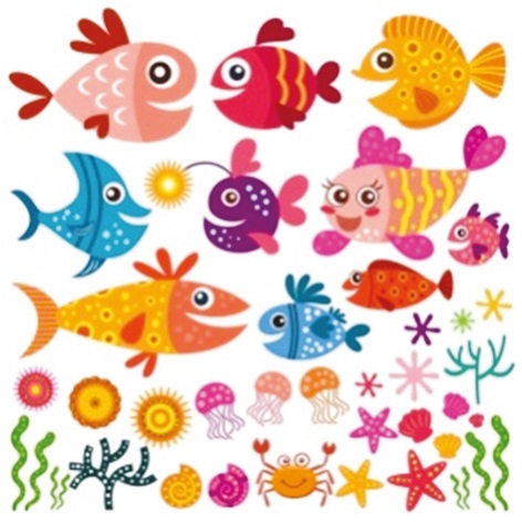 What do You Know About Fish?