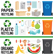 The Projects of the Eco Club