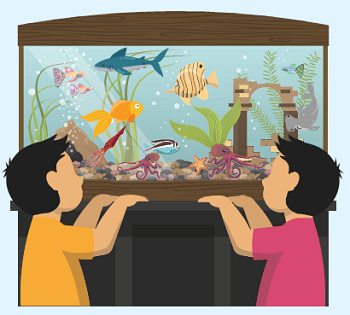 What an Aquarium!