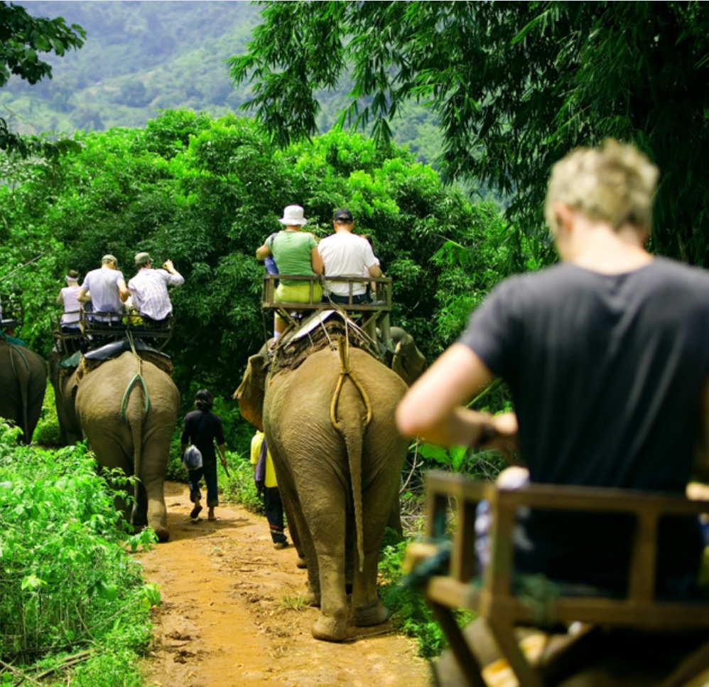 A DAY IN THE LIFE OF A SAFARI GUIDE