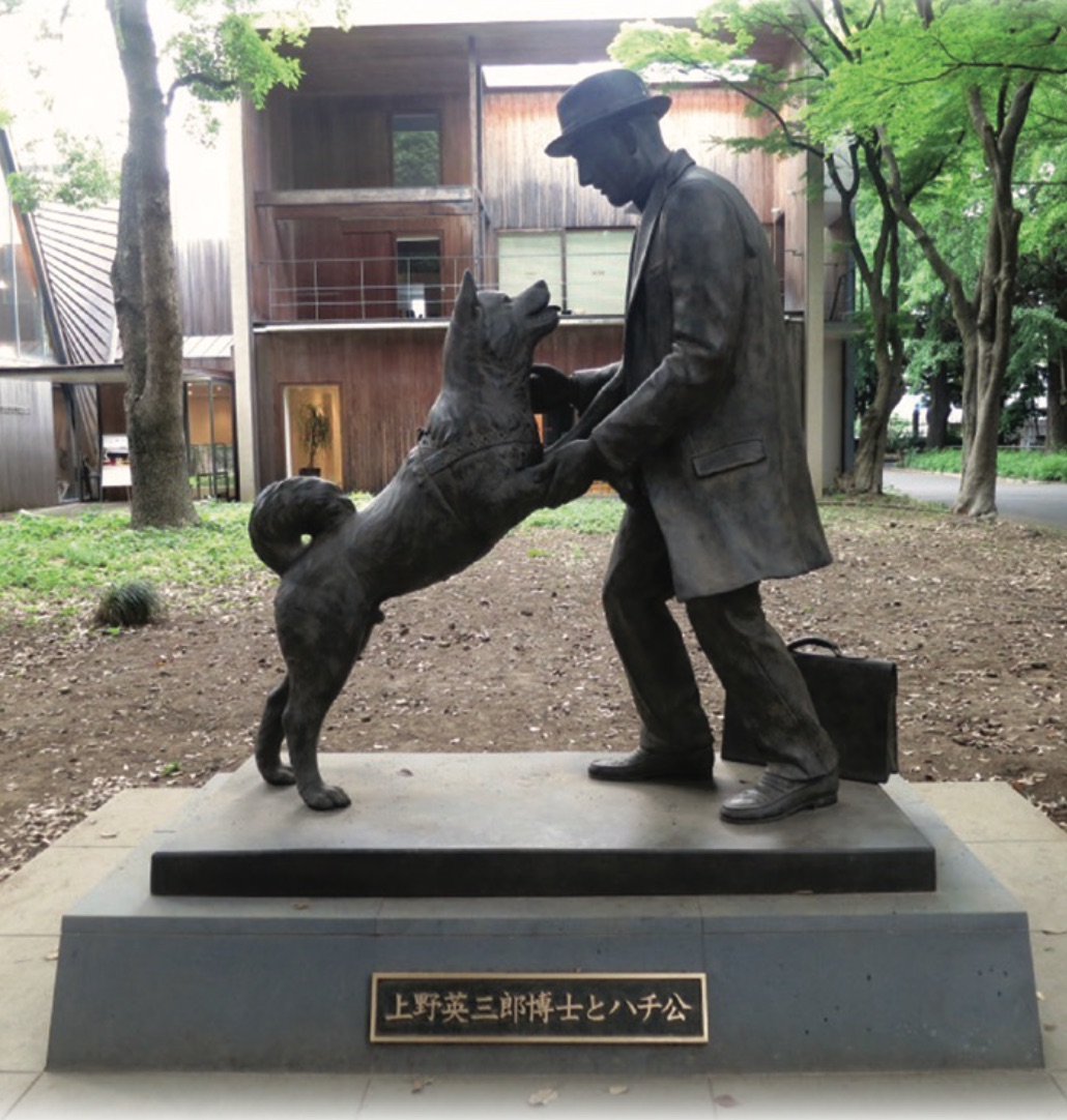 HACHIKO