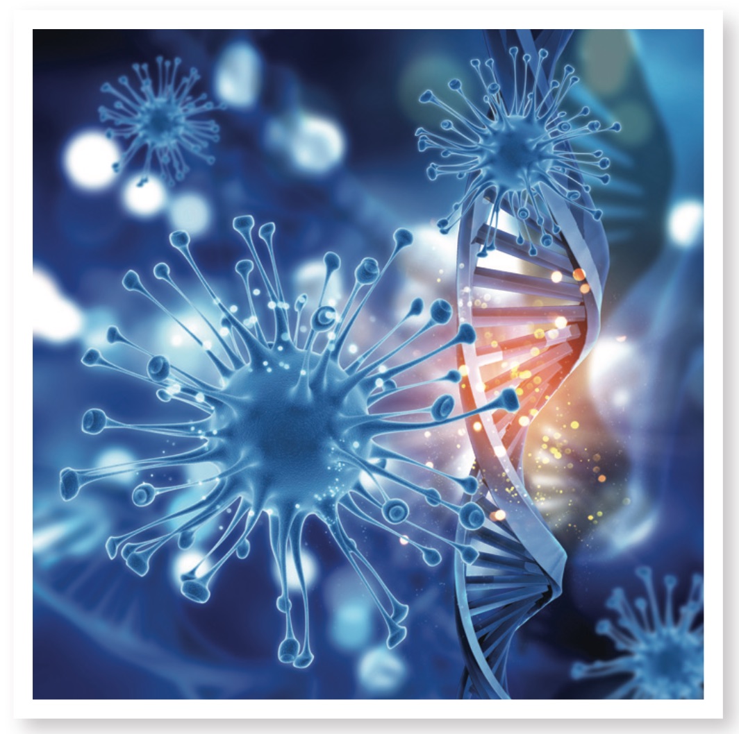 THE IMMUNE SYSTEM