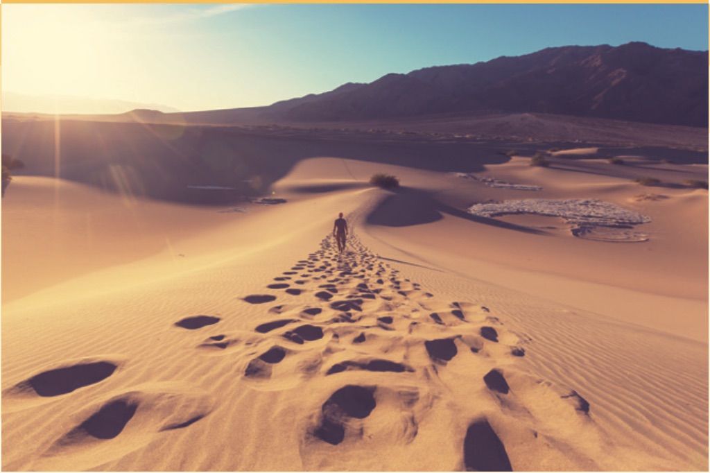 LIFE IN THE DESERT