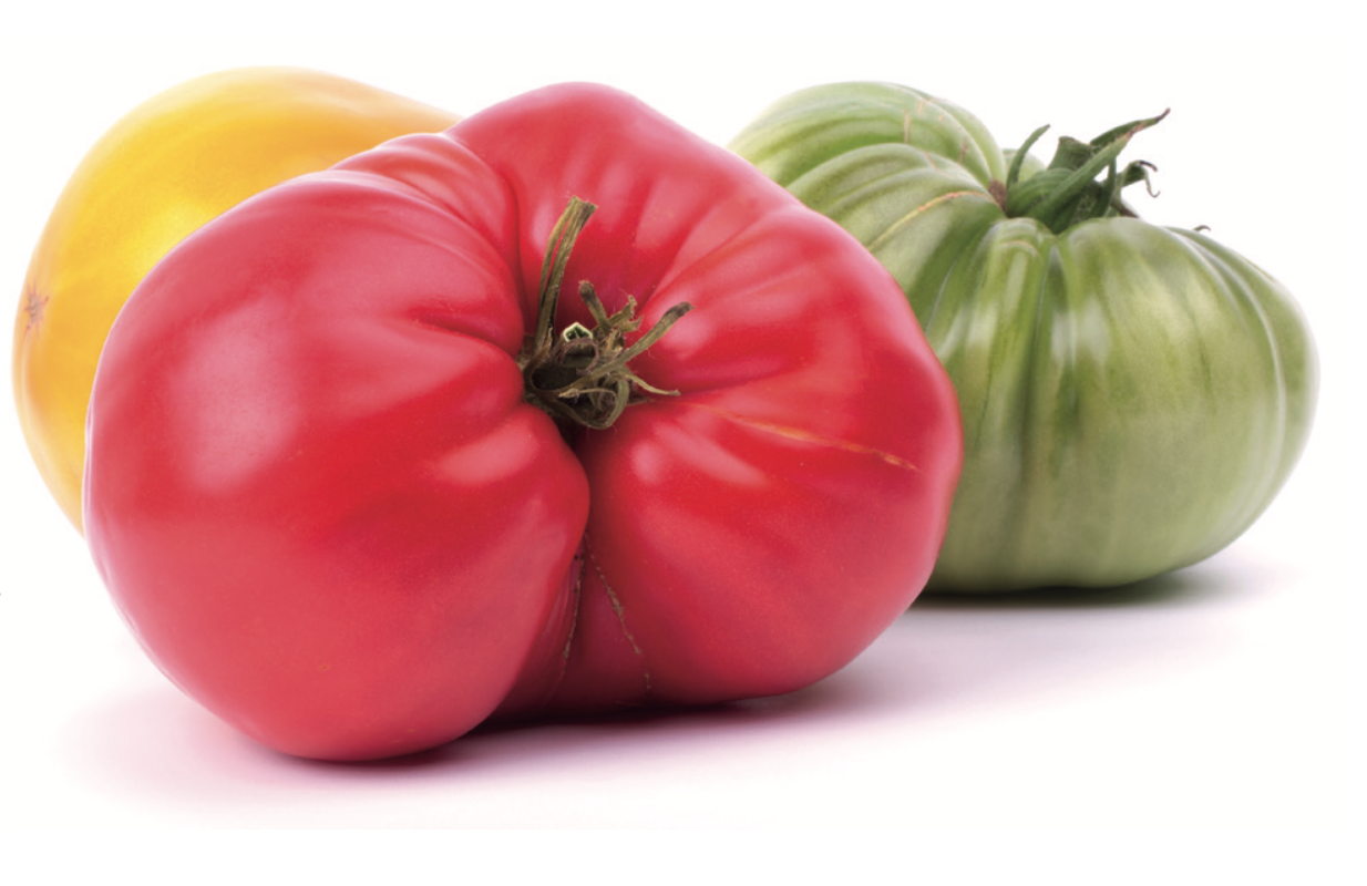 FOODS OF THE FUTURE