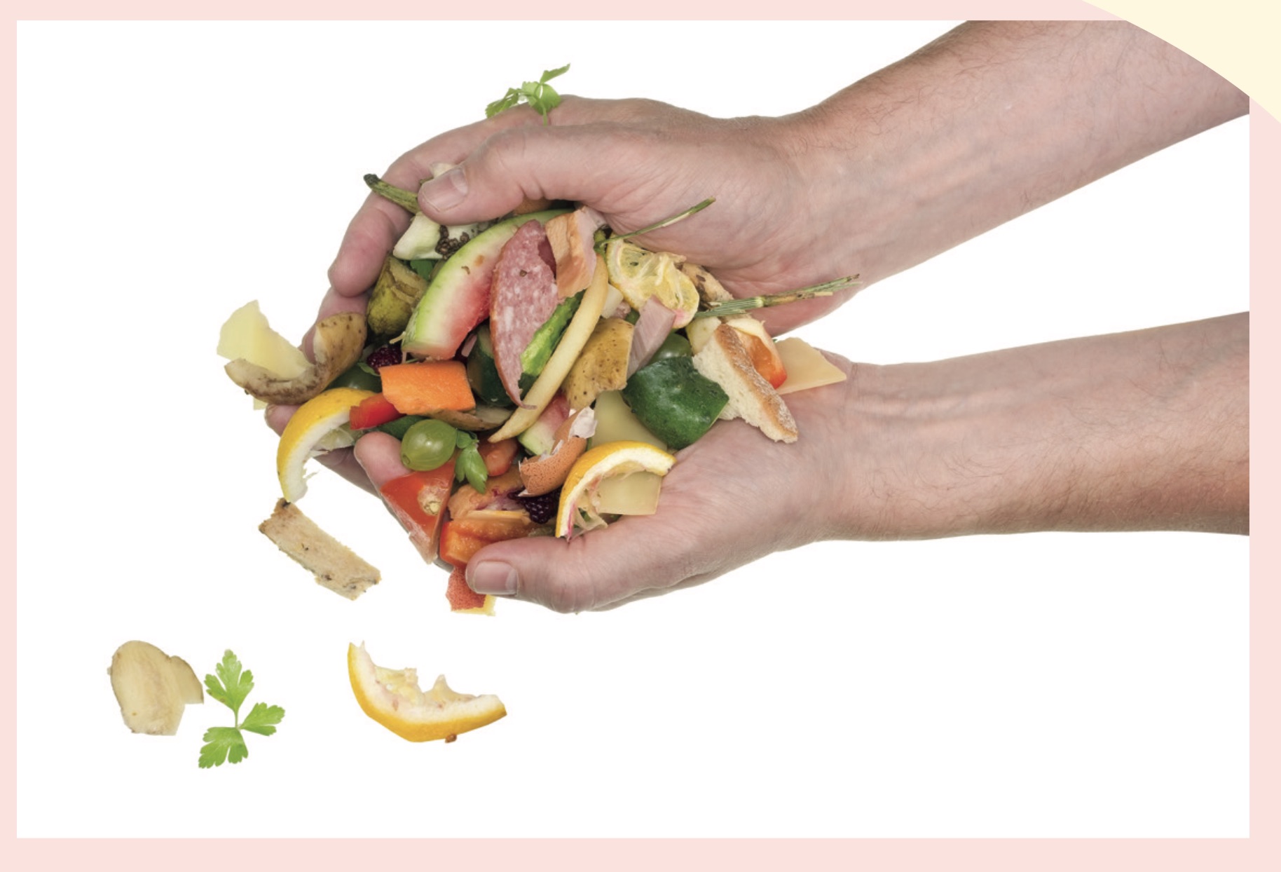 FOOD WASTE