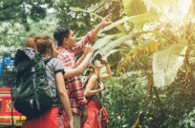How have Our Travel Habits Changed Over the Past 50 Years?