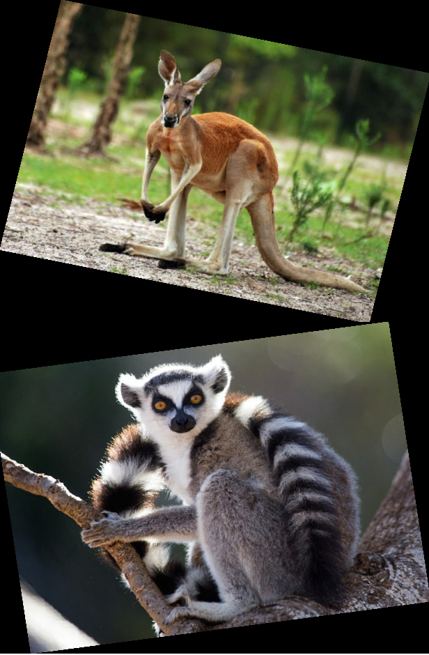 Unique Species