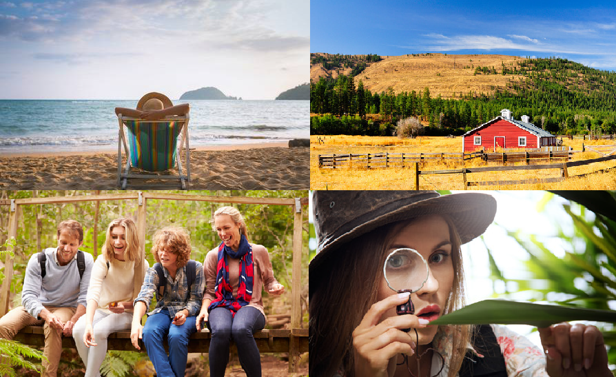 What Are You Going To Do This Summer?