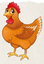 Chickens on the Farm