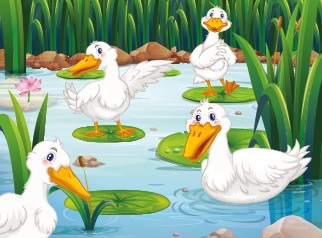The Goose Family