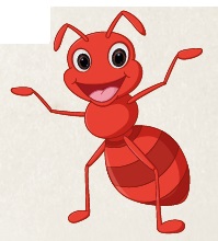 Sally the Ant