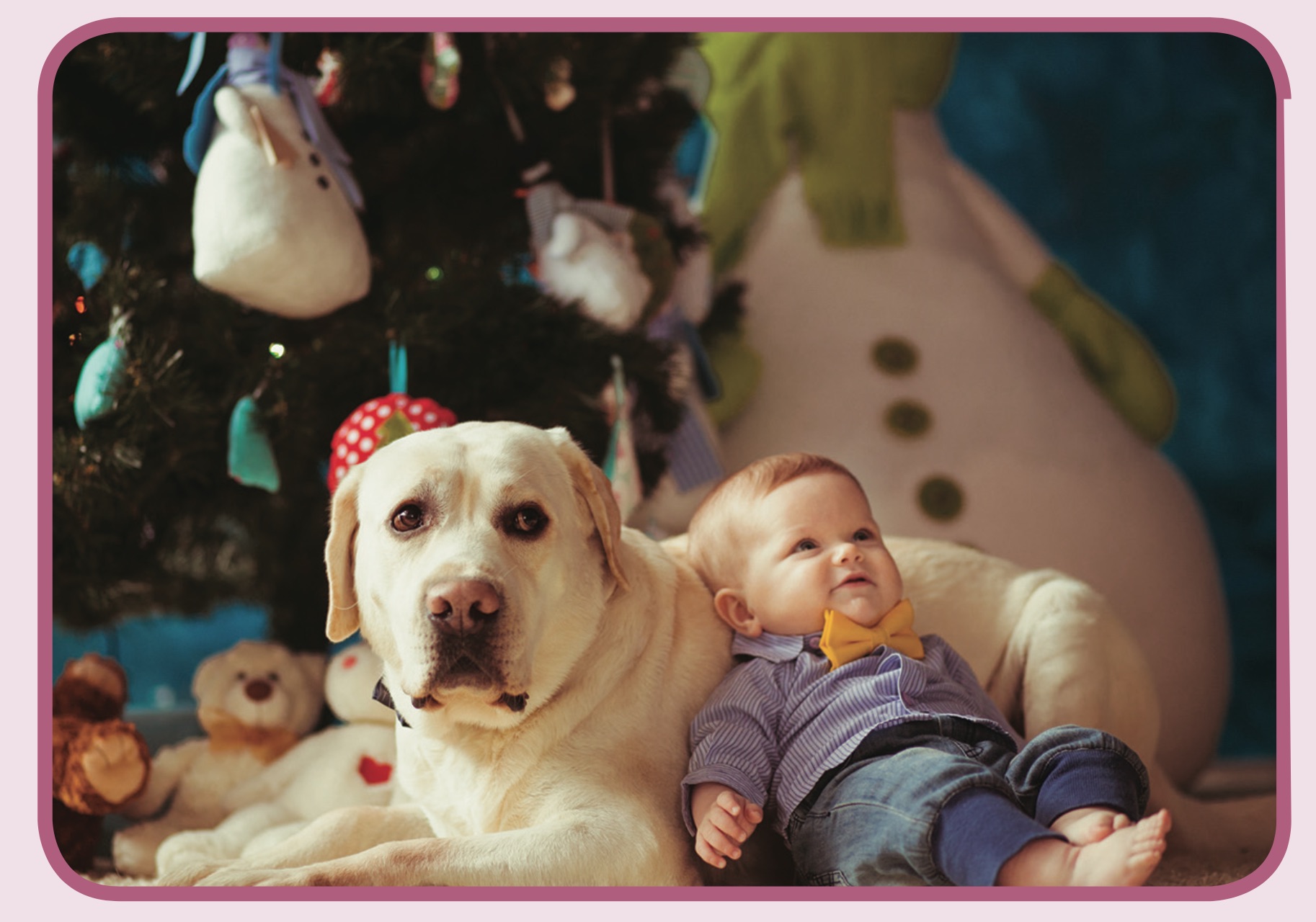 Man's Best Friend
