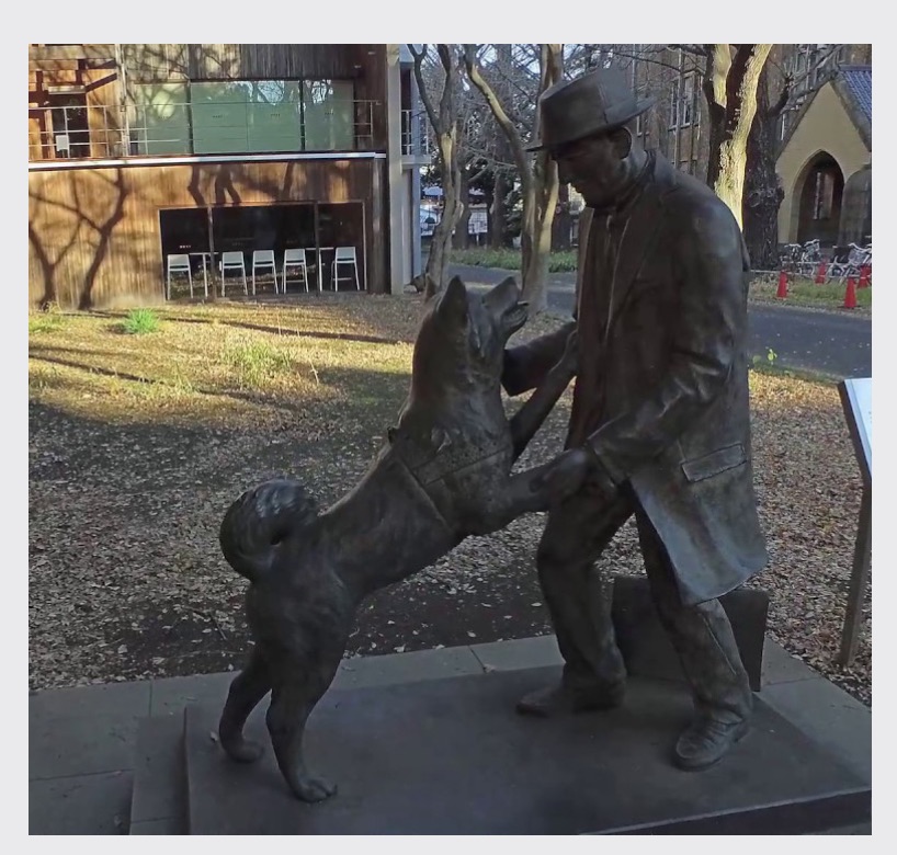 Hachiko, Japan's National Symbol of Loyalty