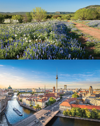 City or Country