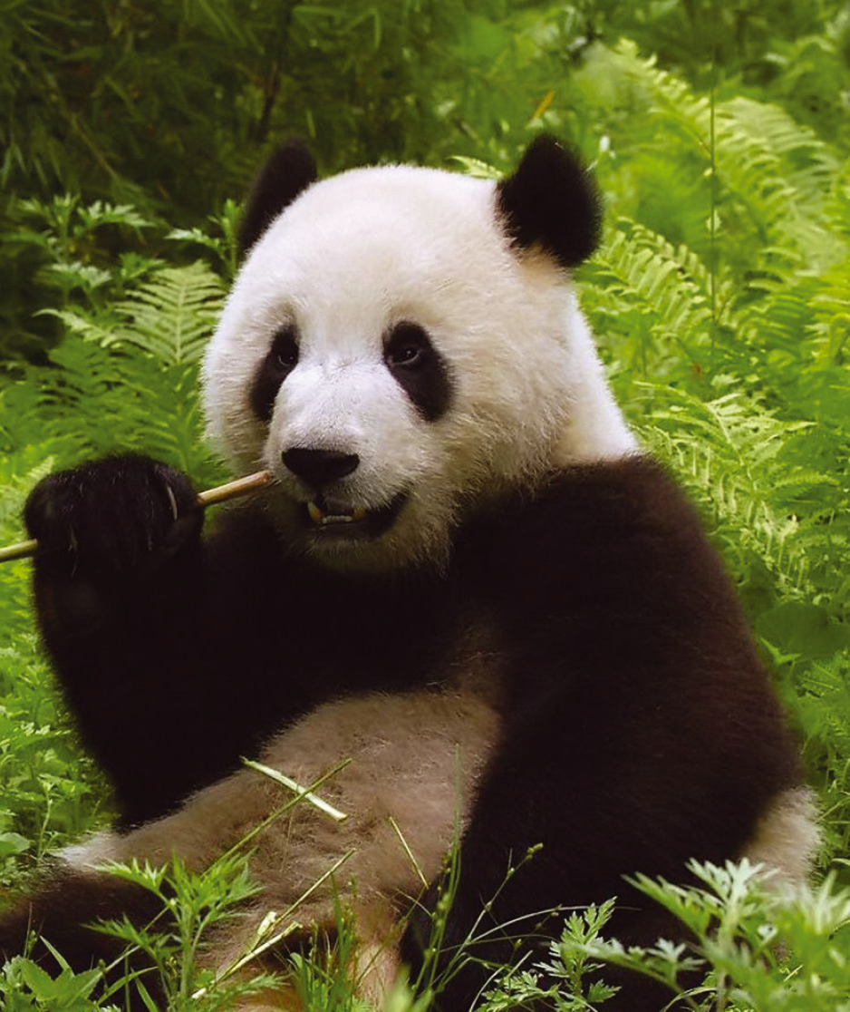 Conservation