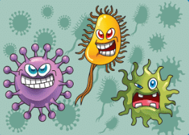 Bacteria