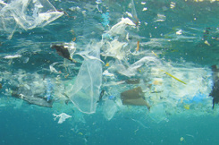 The Great Pacific Garbage Patch