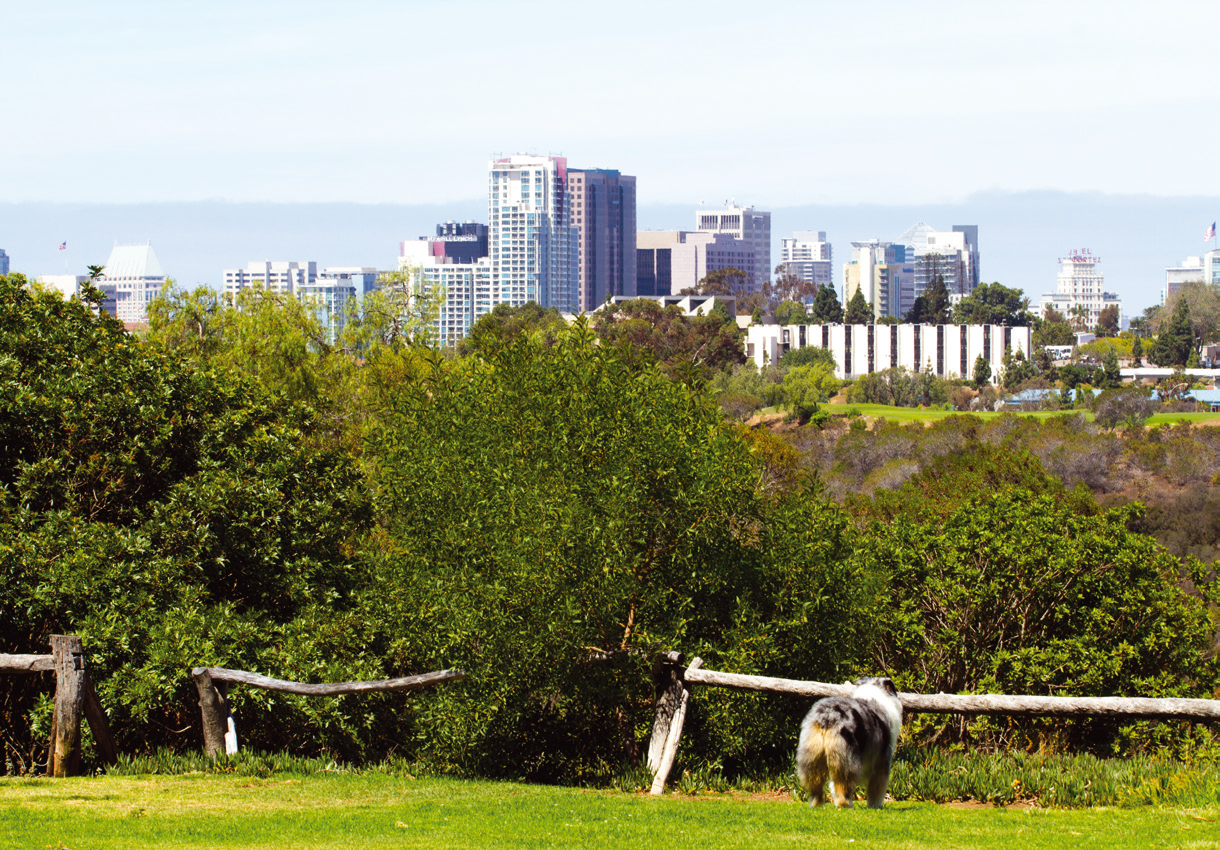 San Diego: A Green City