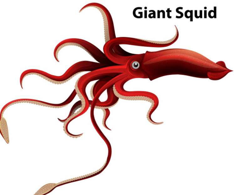 SEA GIANTS