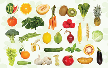 Plant Parts We Eat