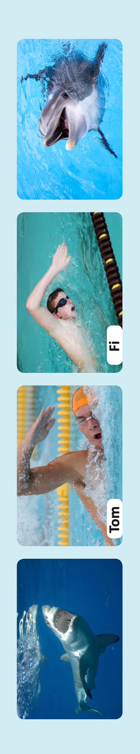 Pretend that you’re a fish, a dolphin, a shark....