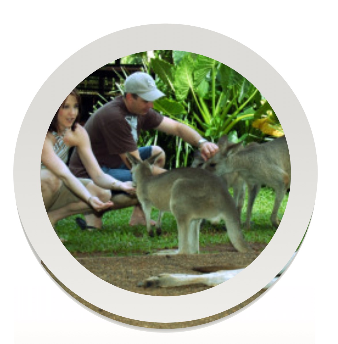 Working in a Wildlife Park - Delight & Dillema