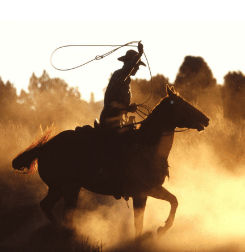 A Daily Life of a Cowboy
