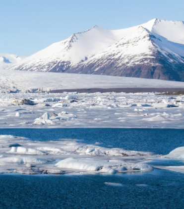 The Disappearing Arctic