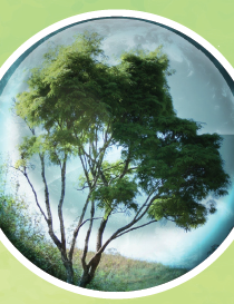The Personal Carbon Footprint