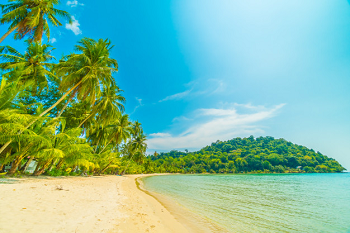 Coconut Island