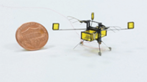 ROBO-BEES