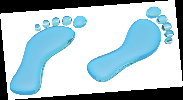 What is a Water Footprint?