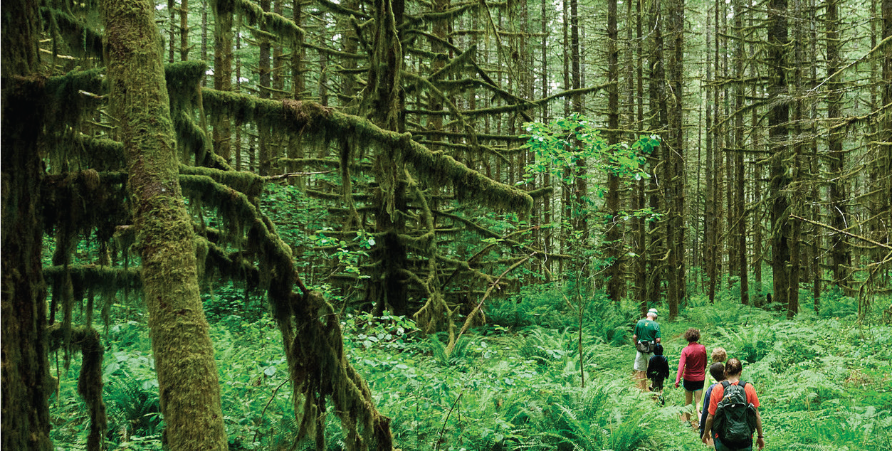 What Is Ecotourism?