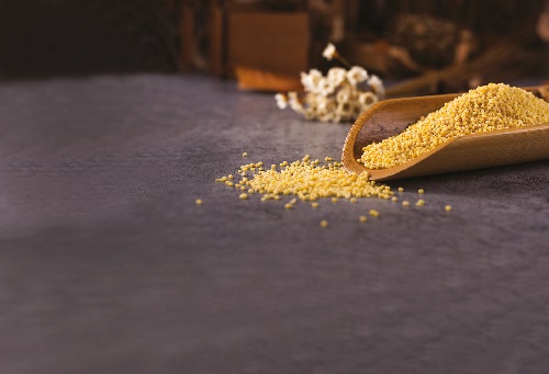 Five Second Rule Fails the Test