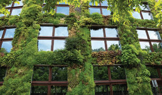 GREENING OUR CITIES!