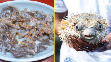 The World's Weirdest Food