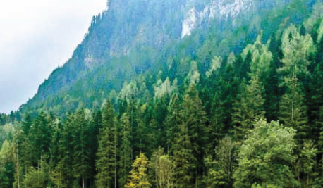 GREEN SLOVENIA
