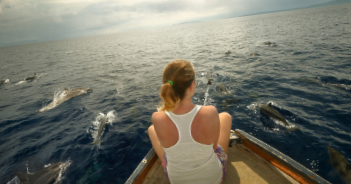 Dolphins to the Rescue… Again and Again