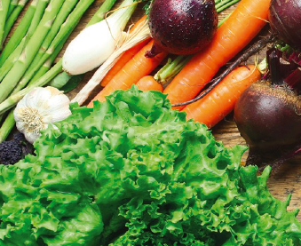 ORGANIC FOODS