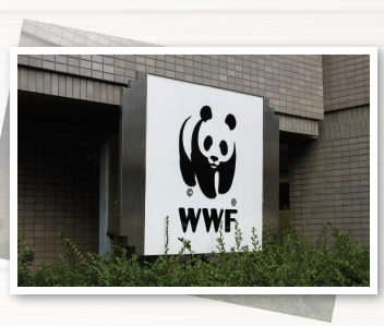 World Wildlife Foundation