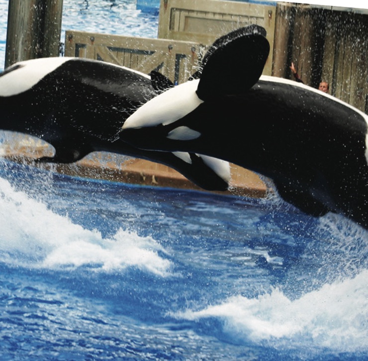 FLORIDA THEME PARKS