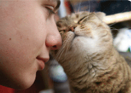 UNDERSTANDING CAT BEHAVIOUR