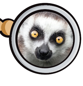 WITHWILDLIFE